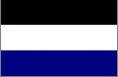 Vlag 's-Gravenbrakel 150x225cm