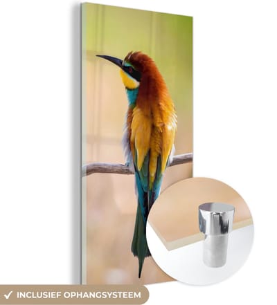 MuchoWow® Glasschilderij 20x40 cm - Schilderij acrylglas - Vogels - Bijeneter - Dieren - Foto op glas - Schilderijen