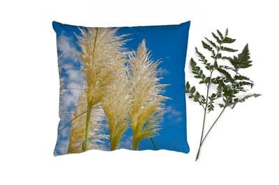 Sierkussens - Kussentjes Woonkamer - 40x40 cm - Planten - Pampasgras - Lucht