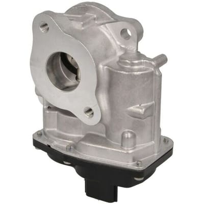 EGR-klep DELPHI EG10747-12B1