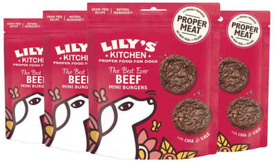Lily's Kitchen Hondsnack Mini Burgers Rund - 4 x 70 gr - Voordeelverpakking
