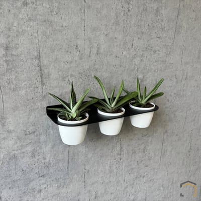 Industriële Plantenhouder voor aan de Muur – Trippel Ø10 cm | Zwart Gecoat Staal | Weterings Store