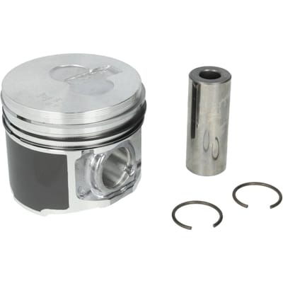 Zuiger MAHLE 009 79 00