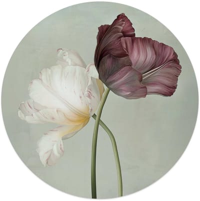 Glasschilderij Tulpen - Ø 50 - Glas - REINDERS