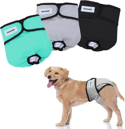 Herbruikbare Hondenbroeken - Loopsheid Broekjes - Hond Zindelijk - Super Absorberend - Maat XL - Set van 3