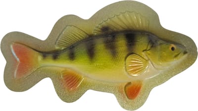 Gekleurde Vis Koelkastmagneet Baars Koelkast Magneet Perch Magnet Viscadeautje Cadeau Streetfishing