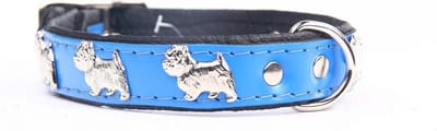 Dog's Companion Leren Halsband - Westie - Lengte: 35cm - Verstelbaar 28-34 cm x 16 mm - Blauw / Zwart
