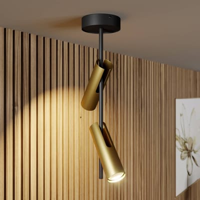 Sigma LEDA 2 Plafondlamp Zwart Goud - Stijlvol en Functioneel