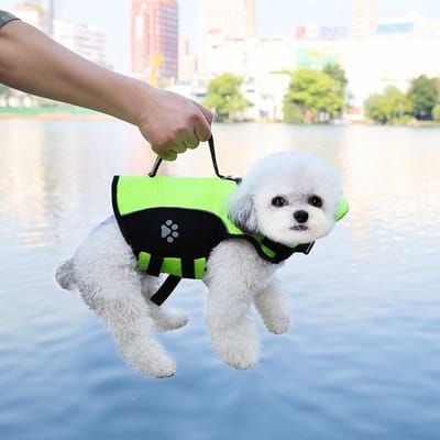 Gilet de sauvetage pour chien d'été avec flottant avant amovible, gilet de sauvetage réglable pour chien, maillots de bain pour chiens de petite, moyenne et grande taille, natation (Green,XS) vert