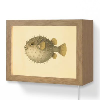 Wandlamp 20x15 cm - Oplaadbaar - Stekels - Vis - Opgeblazen - Bruin - Wandlampen binnen woonkamer - Slaapkamer lamp met kabel - Decoratieve nachtlamp - Vloerlamp snoer