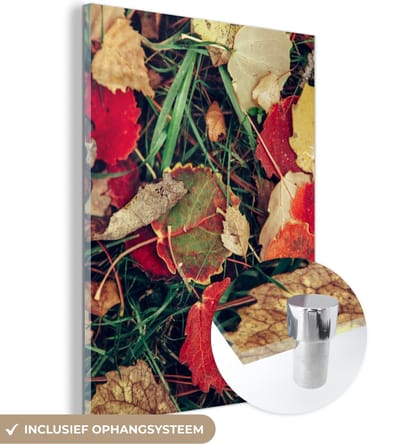 MuchoWow® Glasschilderij 30x40 cm - Schilderij acrylglas - Bladeren - November - Herfst - Natuur - Foto op glas - Schilderijen