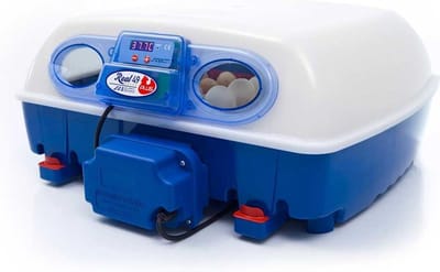 Borotto Real 49 PLUS broedmachine - automatische keersysteem - kwartel - kip - vogels - papagaai - fazant - gans