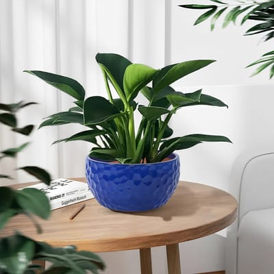 OKWISH Bloempotten – 3-Delige Set – Versterkt Keramiek – Antiekblauw – Met Afwateringsgat – Voor Binnen en Buiten