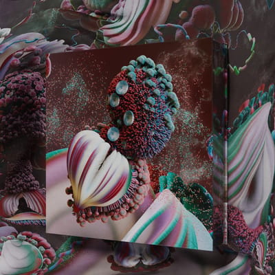 Björk - Fossoræ (2 10" LP) (Coloured Vinyl) (Limited Deluxe Edition)
