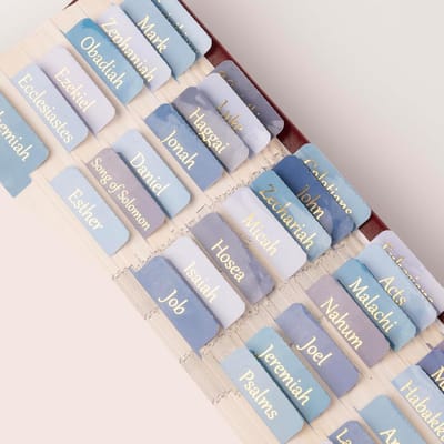 Bijbelverwijzingstabs met Foliehouder - 90 Tabs (24 Blank) voor Oude & Nieuwe Testament