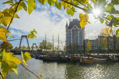 Fotobehang Rotterdam oude haven met het Hoge Huis en Willemsbrug 350 x 260 cm - € 235,--