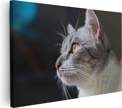Artaza Canvas Schilderij Dierenkop Kat - 30x20 cm - Klein - Muurdecoratie Portret - Wanddecoratie Dieren - Kamer Accessoires