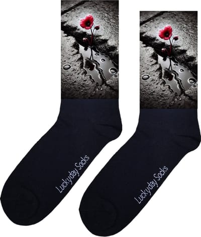 Klaproos - Valentijn sokken - Valentijns Cadeau - Grappige sokken - Leuke sokken - Hem Haar sokken - Straat - Breuk - Vrolijke sokken - Vaderdag - Moederdag - Verjaardag cadeau - Kerstcadeau - Leuk Cadeau - Speciaal cadeau - Socks maken Happy - 37-44