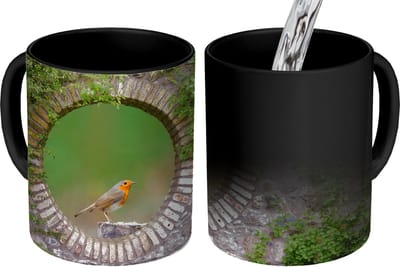 Magische Mok - Foto op Warmte Mokken - Koffiemok - Vogel - Doorkijk - Roodborstje - Magic Mok - Beker - 350 ML - Theemok