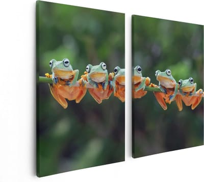 Artaza Canvas Schilderij Tweeluik Groep Kikkers op een Tak - 80x60 - Foto Op Canvas - Canvas Print