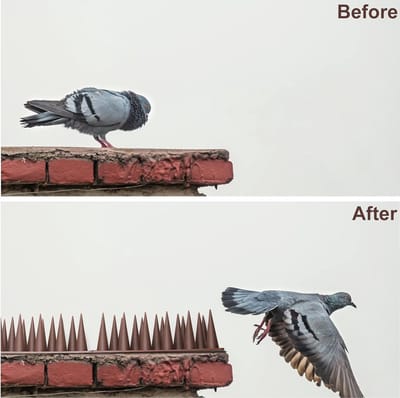 hoge stekels voor balkon - Duivenwerende spikes - omheiningen en dak / Duivenafweer - katten tegengaan \ dieren afweer - vogelafschrikmiddelen_10 m