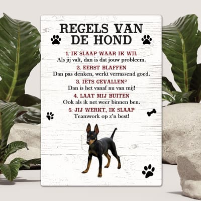 Spreuken - Doberman Pinscher - Regels Van De Hond - Spreuken Bordjes - Spreukenbord - Tekstborden - Cadeau - Hondenras