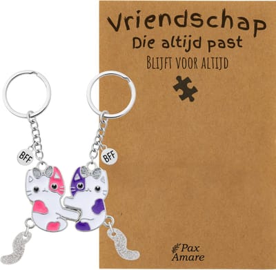 BFF Sleutelhanger voor 2 'Vriendschap die altijd past' - Magnetische Katjes - Sleutelhanger set op Cadeau Kaartje - Zilverkleurig - Vriendschap Symbool - Pax Amare