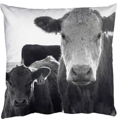 Sierkussens - Kussentjes Woonkamer - 50x50 cm - Koeien - Zwart - Wit