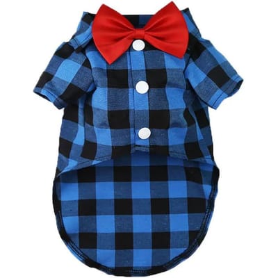 Robe de mariée pour animal de compagnie, costume chemise, nounours, bichon, fête d'anniversaire, vêtements, petite, moyenne, grande, printemps, été, automne XL