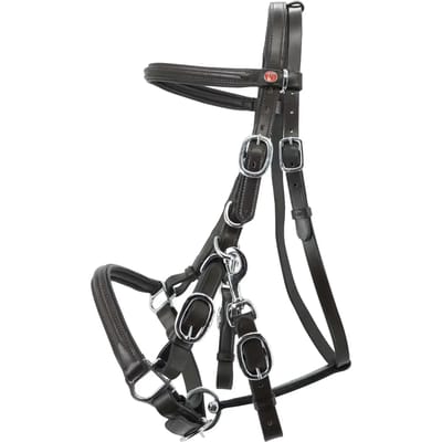 Hoofdstel Kieffer Trail with chrome fittings