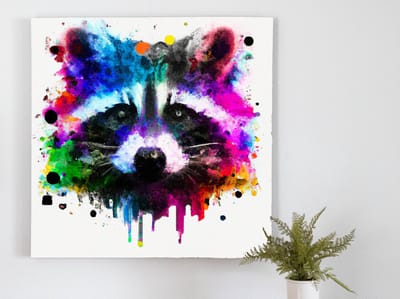 Rosy raccoon | Rosy Raccoon | Kunst - 60x60 centimeter op Forex | Foto op Forex