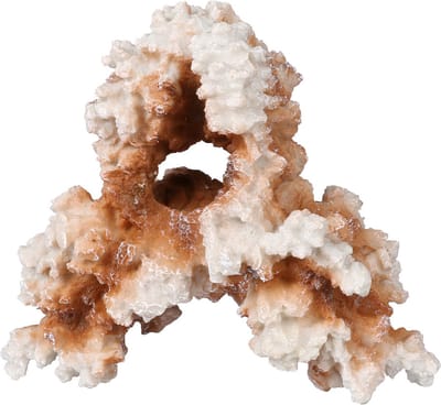 Aqua Della - Aquariumdecoratie - Vissen - Coral M - 19,5x11x17,5cm - 1st