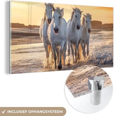 MuchoWow® Glasschilderij 120x60 cm - Schilderij acrylglas - Paarden - Water - Strand - Dieren - Foto op glas - Schilderijen