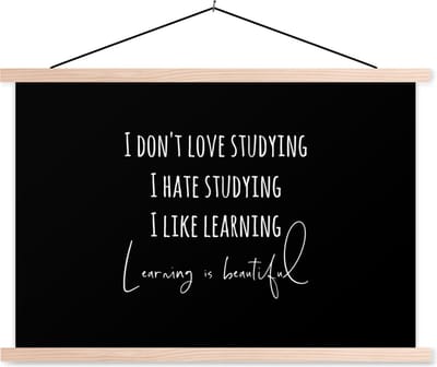 Posterhanger incl. Poster 90x60 cm - Schoolplaat - Quote - Studeren - Liefde - Textielposter - Blanke latten