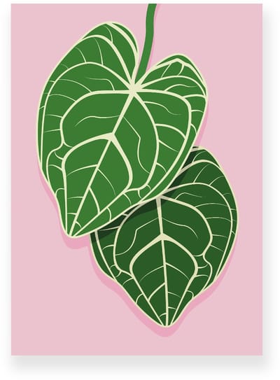 Poster 20x30 cm - Anthurium Bladeren - Planten - Groen - Roze - Botanisch - Minimalistisch - Muurdecoratie - Wanddecoratie