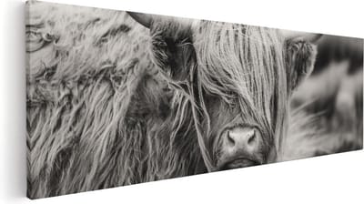 Artaza Canvas Schilderij Hooglander - 60x20 cm - Wanddecoratie Dierenkop - Muurdecoratie Woonkamer - Kamer Accessoires