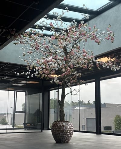 Seta Fiori - Kunst Bloesemboom - Kunstboom - 350cm - roze/creme roze - Voor binnen - Sakura