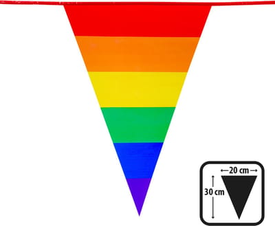 Vlaggenlijn Regenboog pride 10m.