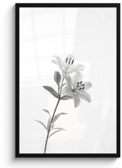 Poster in lijst - Fotolijst 60x90 cm - Posters - Lelies - Elegant - Zwart - Wit - Posterlijst zwart - Decoratie - Wanddecoratie woonkamer - Muurdecoratie slaapkamer