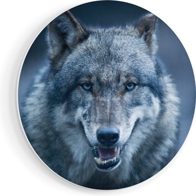 Artaza Forex Muurcirkel Wolvenkop Met Blauwe Ogen - Wolf - 70x70 cm - Wandcirkel - Rond Schilderij - Wanddecoratie Cirkel - Muurdecoratie