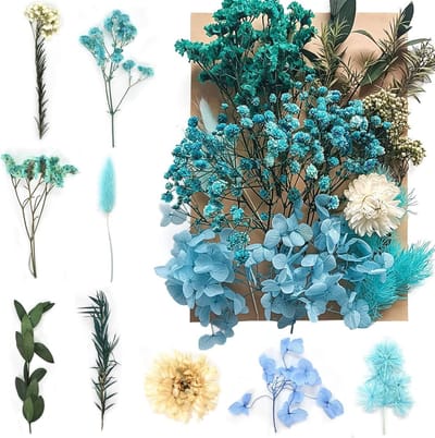 Natuurlijke Gedroogde Bloemen en Bladeren voor Epoxy Hars Sieraden, Nail Art en DIY Decoratie, Scrapbooking en Kaarten maken