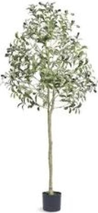 MensStore Kunstboom Olijf - Olijfboom Kunst - Kunstplant - Kunstplant voor binnen - Kunstplant voor buiten - Groen - 155cm