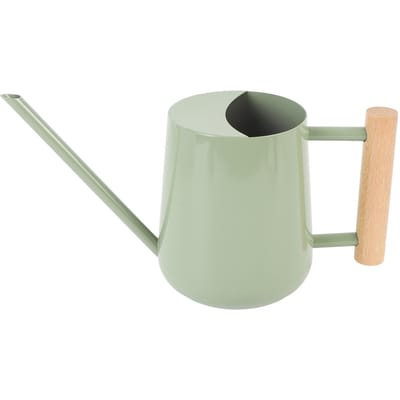 Gieter Roestvrijstalen Gieter met Houten Handvat voor Succulenten Plant Type 2