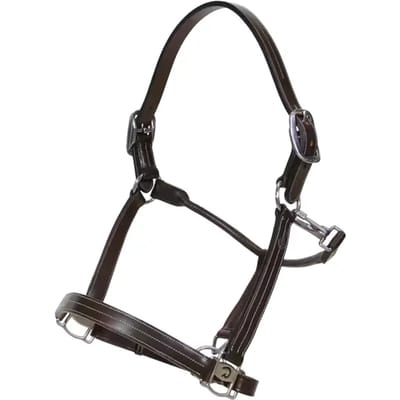 Halsband voor paard met aanpassingen Dy'on US
