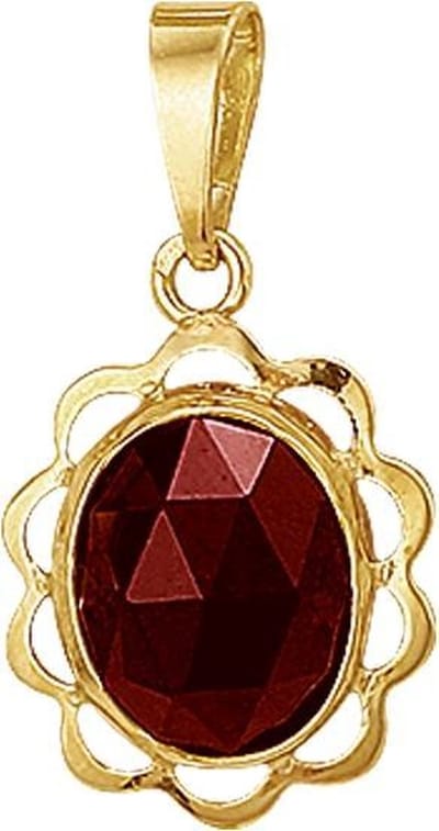The Jewelry Collection Hanger Granaat - Geelgoud