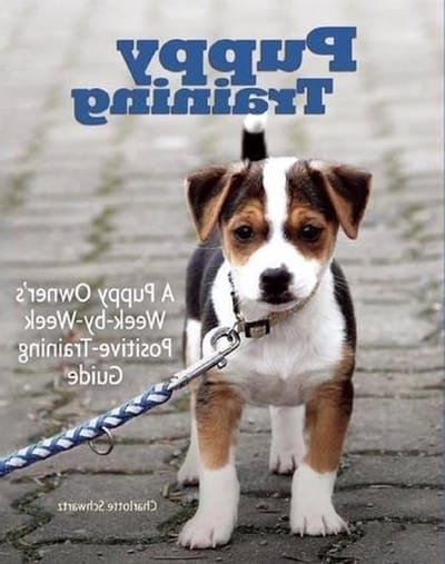 Puppy Training Gids - Honden Opvoeding Boek - Puppy Trainen - Week-per-Week Schema - 2003 Editie - Niet gespecificeerd