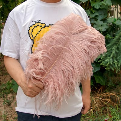 10 pièces Plumes d'autruche Naturelles en Gros 15-50 cm Plumes d'Artisanat pour Fête Mariage Décoration de Maison Centres de Table Décoration de Bijoux 25-30cm