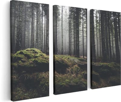 Artaza Canvas Schilderij Drieluik Bos Met Mos Op Rotsen - 120x80 - Foto Op Canvas - Canvas Print