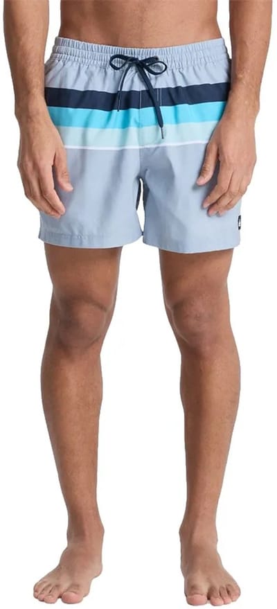 Quiksilver Everyday Printed Volley 15´´ Zwembroek Blauw L Man