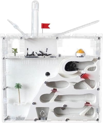 Mierenboerderij Nest - Mierenkasteel Habitat - Mieren Studie - Inclusief Watertoren - 20 x 18 cm